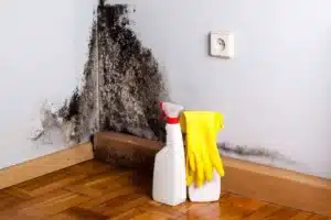 online-booking-mold-removal-weschoon-cleaning-service