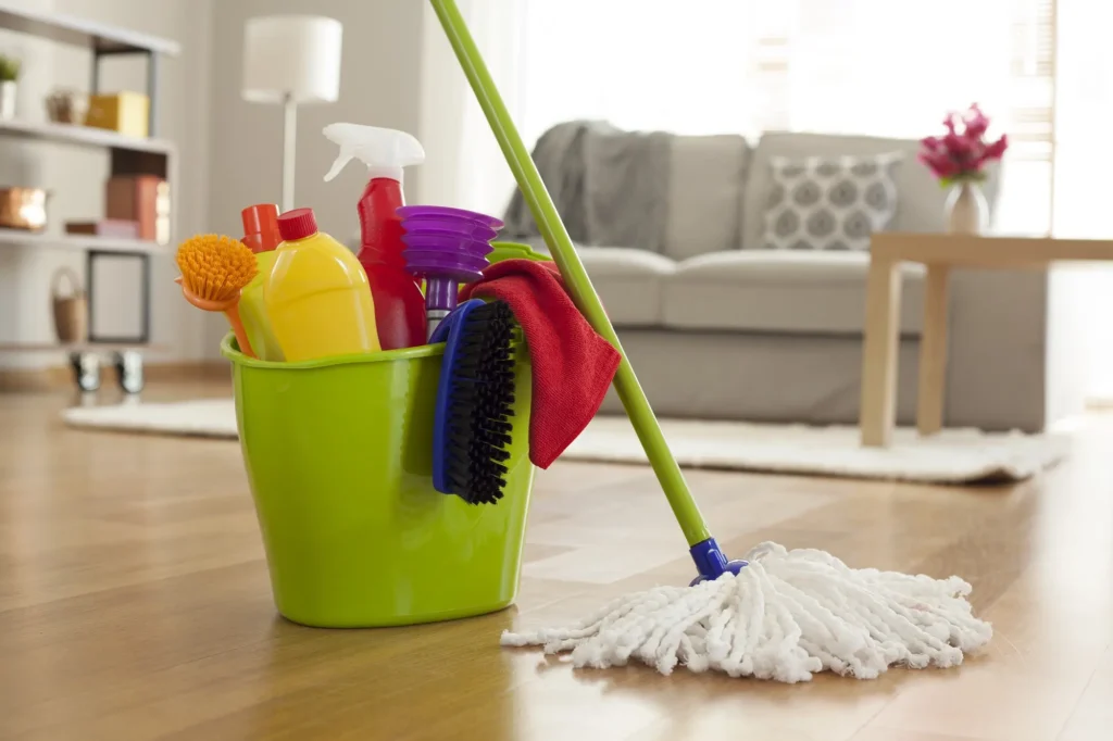 maid-housekeeping-services